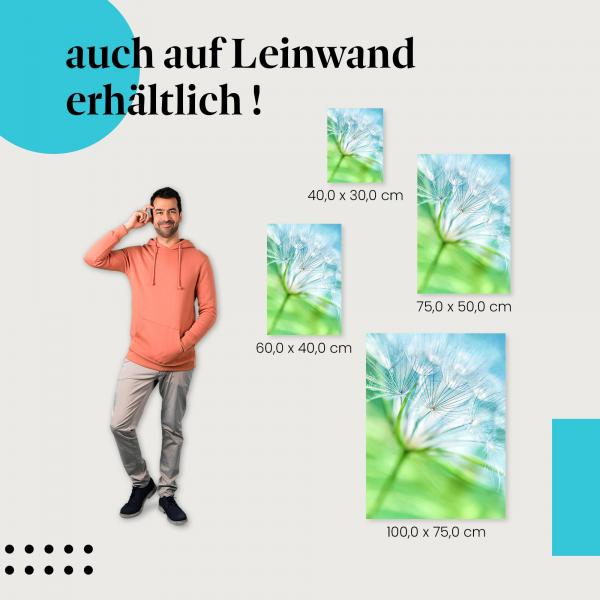 Leinwandbild "Luftige Pusteblume": Frühling & Zauber der Natur