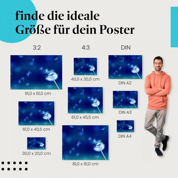 Pusteblume Poster: Zarte Schönheit für deine Wand - jetzt Größe wählen!