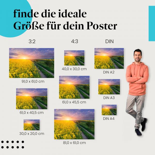 Farbenpracht der Natur: Rapsfeld Poster "Blütenmeer im Sonnenuntergang"