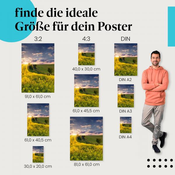 "Goldenes Rapsfeld im Sonnenuntergang": Poster - Landschaft & Natur