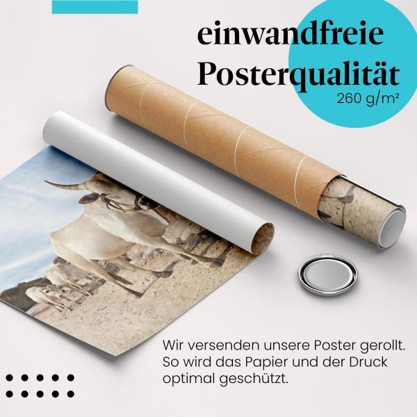 Gerolltes Poster "Rinderherde". Tier & Kultur, sicher verpackt.