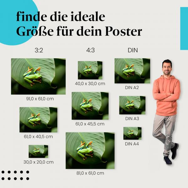 Rotaugenlaubfrosch Poster: Tier Poster - verschiedene Größen!