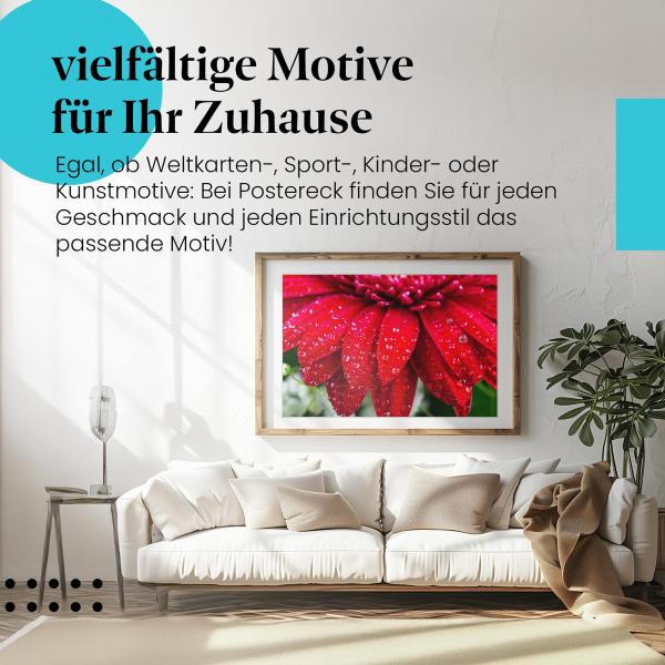 Leinwandbild "Gerbera": Makroaufnahme, rote Blüte, Wassertropfen - frisch & lebendig.