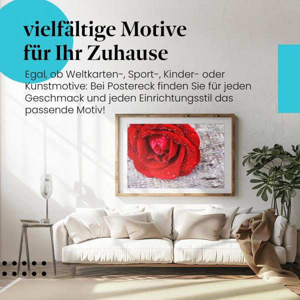 "Rote Rose": Poster - Sinnlichkeit & Eleganz pur.