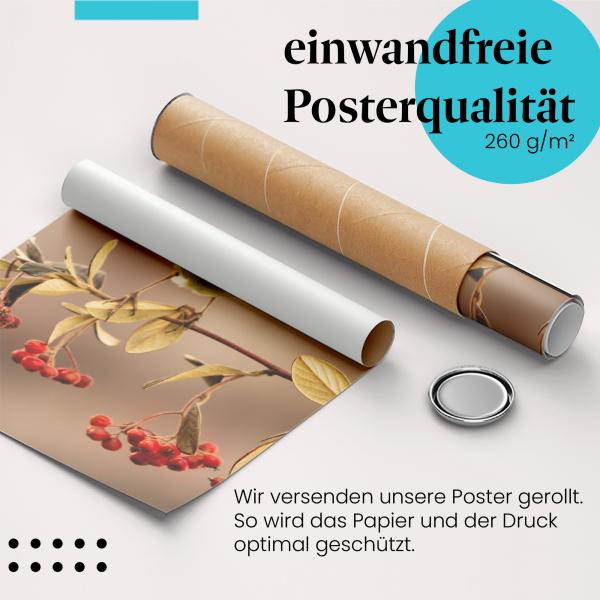 Gerolltes Poster "Rotkehlchen". Vogelfotografie, sicher verpackt.