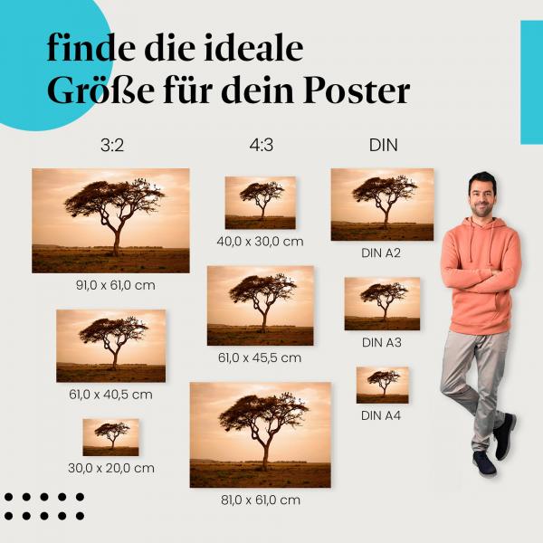 Savanne, Poster: Baum, Sonnenuntergang, Zebras, Antilopen.