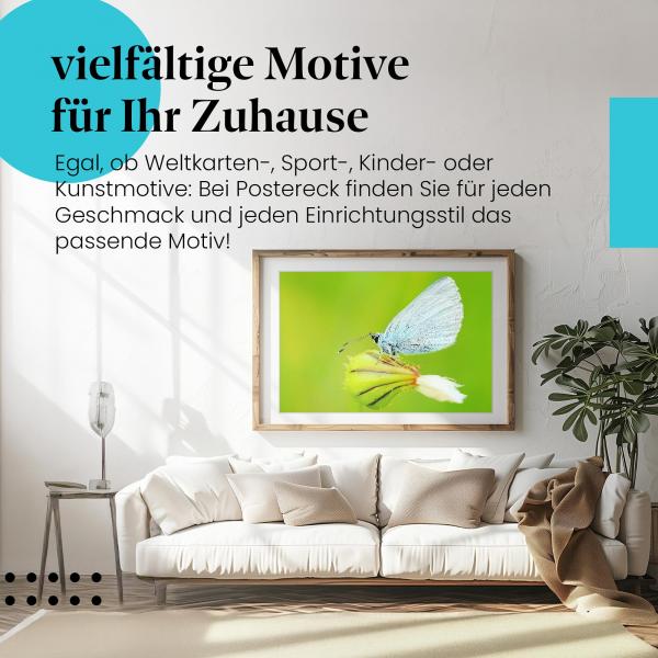 Natur hautnah: Dieses Leinwandbild ist ein Hingucker für alle, die Schmetterlinge und Blumen lieben.