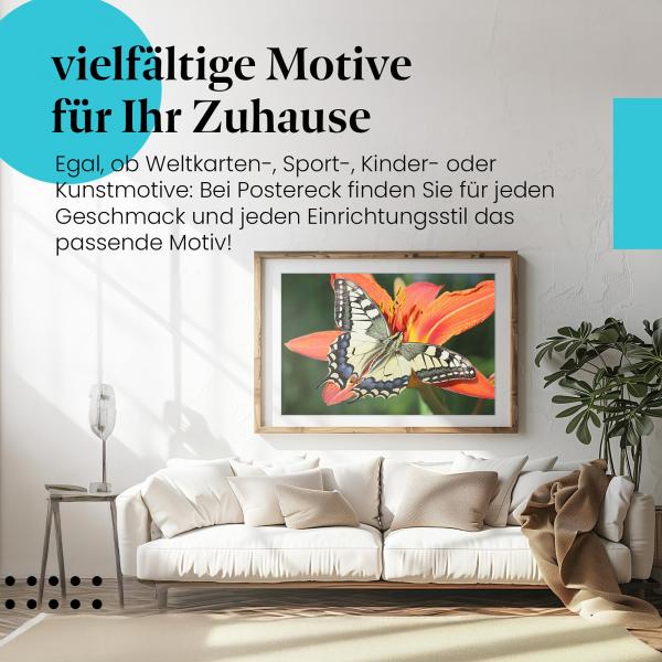 Leinwandbild "Schmetterling & Lilie": Farbenpracht der Natur, perfekt für ein fröhliches Wohnzimmer.