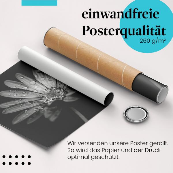 Gerolltes Poster "Blume mit Tautropfen" - Poesie der Natur, sicher verpackt.