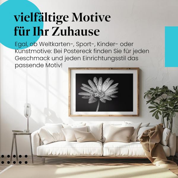 "Blume in Schwarz-Weiß" Leinwandbild: Zarte Blütenblätter mit Tautropfen.