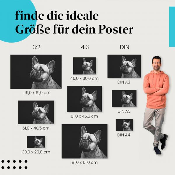 Entdecke die passende Postergröße für dein Zuhause: Bulldogge Welpe: Schwarz-Weiß, Blick.