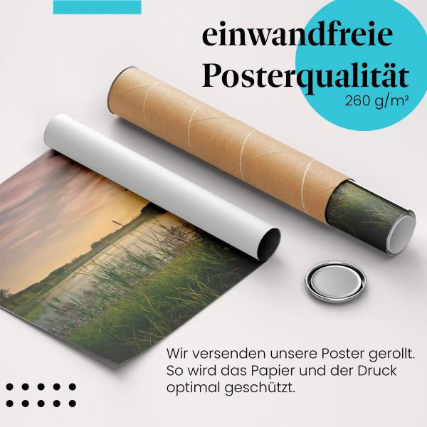 Gerolltes Poster "Baum am See". Ruhe & Natur, sicher verpackt.