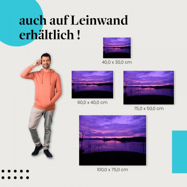 Leinwandbild "Lila Sonnenuntergang": Stimmung & Landschaft