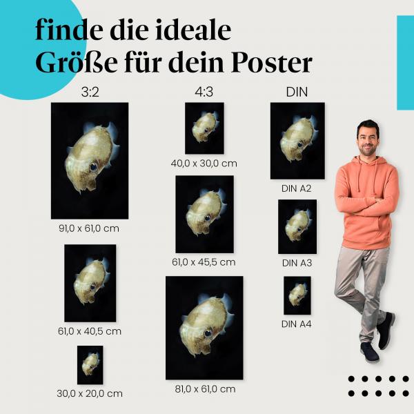 Tintenfisch Tiefsee Poster: Faszinierende Unterwasserwelt!