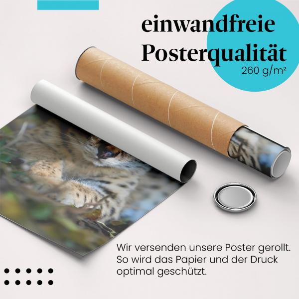 Gerolltes Poster "Serval". Wildtierfotografie, sicher verpackt.