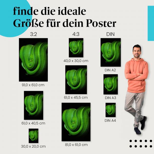 Finde die ideale Postergröße: Smaragdgrüne Schlange auf Ast, faszinierender Blick.