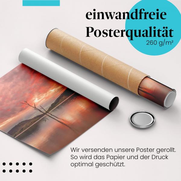 Gerolltes Poster "Sonnenaufgang am See". Stimmungsvolles Motiv, sicher verpackt.