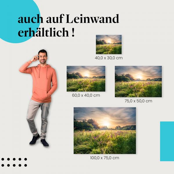 Sommerwiese: Leinwandbild. Sonnenaufgang, Blüten. Wähle deine Größe!