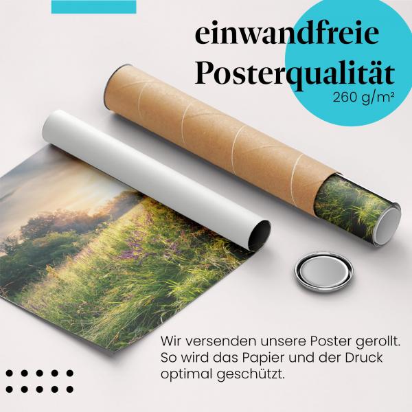 Gerolltes Poster "Sonnenaufgang Wiese". Natur & Frühling, sicher verpackt.