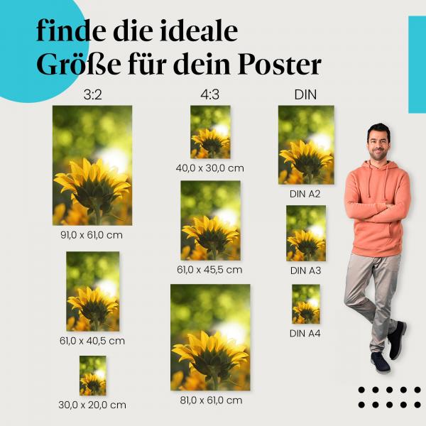 Sonnenblume im Gegenlicht Poster: Sommerliches Poster - jetzt Poster bestellen!