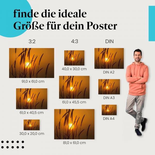 Gräser, Poster: Sonnenuntergang, Silhouetten, Ruhe.