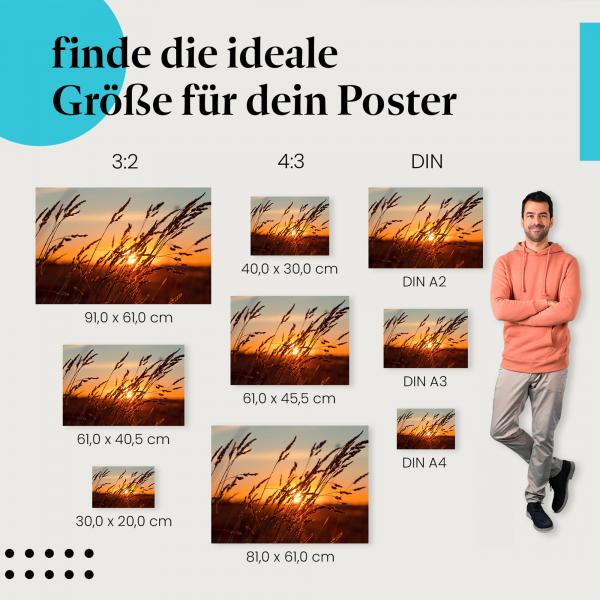 Finde die perfekte Postergröße! Sonnenuntergang, Gras, Silhouetten.