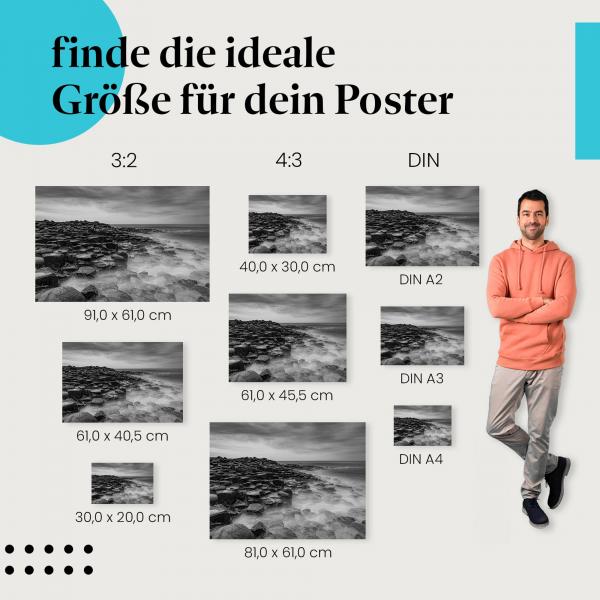 Küste, Poster: Felsen, Meer, Nebel-Effekt, schwarz-weiß.