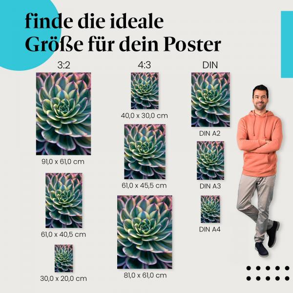 Sukkulente, Poster: Grün-gelb, rosa Spitzen, Nahaufnahme.