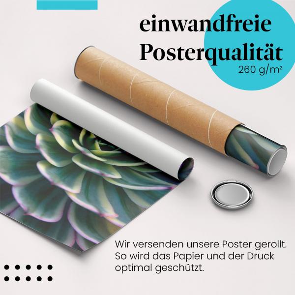 Gerolltes Poster "Sukkulenten". Pflanzen & Muster, sicher verpackt.