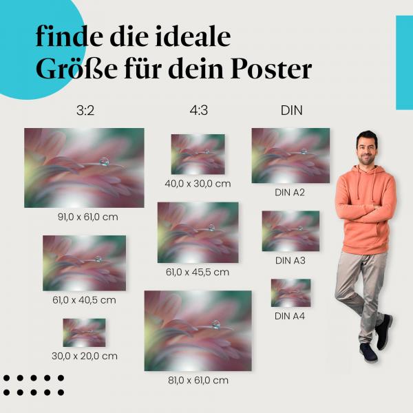 Finde die ideale Postergröße: Tautropfen, Blütenblatt, Makro, Pastell, abstrakt.