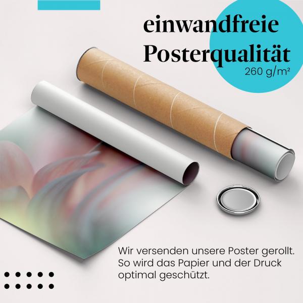 Gerolltes Poster "Tautropfen" - Abstrakte Naturfotografie, sicher verpackt.