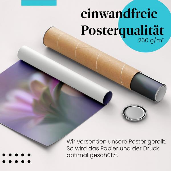 Gerolltes Poster "Tautropfen" - Zarte Schönheit, sicher verpackt.