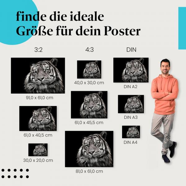 Wähle die ideale Postergröße: Ein Tiger mit intensivem Blick vor schwarzem Hintergrund - die Wildheit des Dschungels für dein Zuhause.