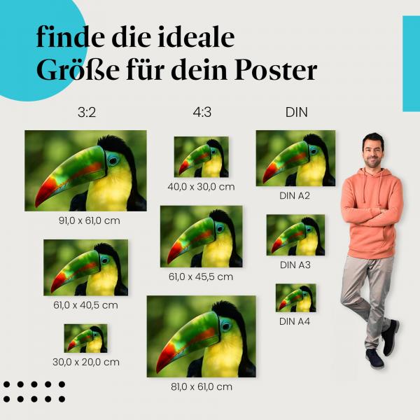 Tukan Poster: Exotischer Vogel - jetzt bestellen!