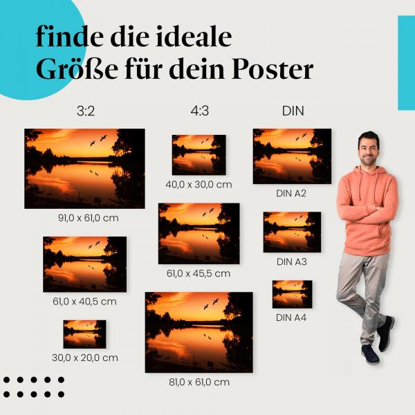 Romantische Stimmung: Poster "Silhouette von Vögeln im Sonnenuntergang" - Vögel & See