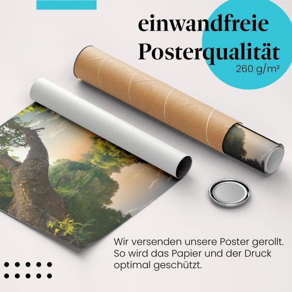 Gerolltes Poster "Fluss im Wald". Romantische Natur, sicher verpackt.