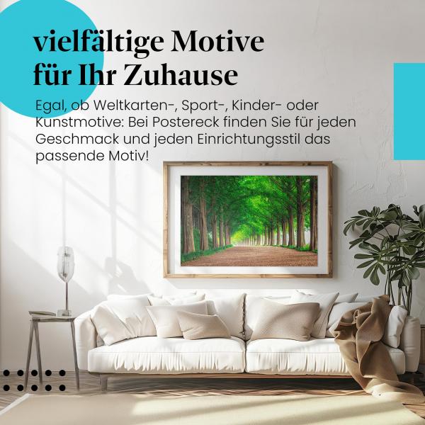 "Grüner Tunnel": Poster mit Waldweg - mystisch & märchenhaft.