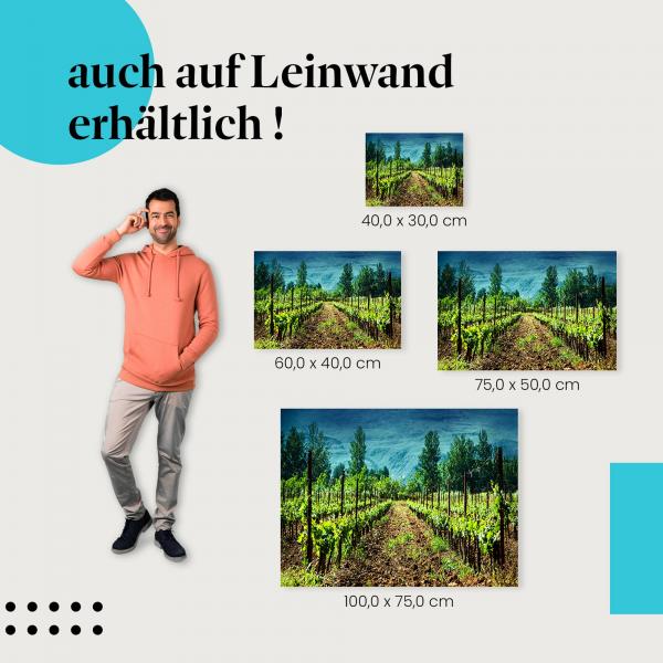 Leinwandbild "Grüne Rebenreihen": Wein & Natur