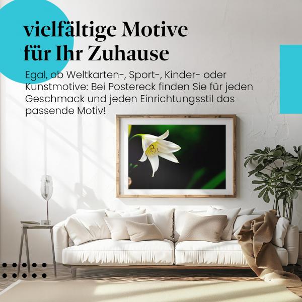 Leinwandbild "Weiße Lilie": Zarte Schönheit und Eleganz, perfekt für ein stilvolles Wohnzimmer.