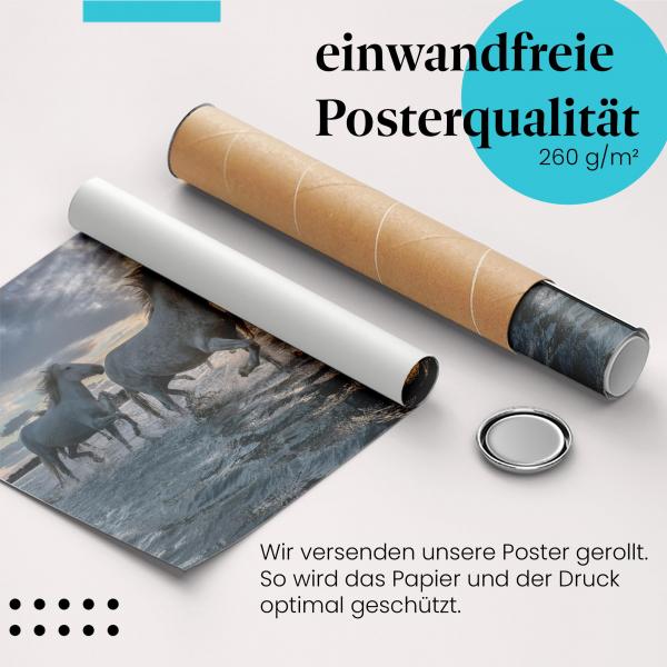 Gerolltes Poster "Weiße Pferde" - Freiheit & Bewegung, sicher verpackt.