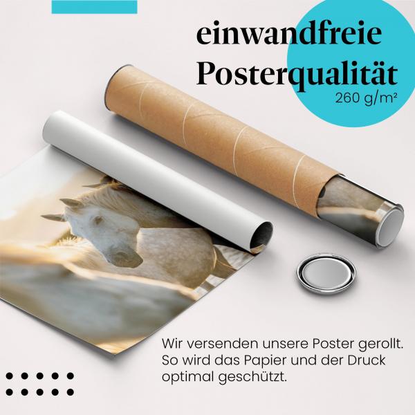 Gerolltes Poster "Pferde am Wasser". Ruhe & Harmonie, sicher verpackt.