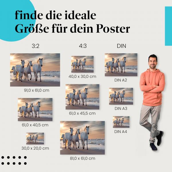 Pferde, Poster: Weiß, Strand, Gischt, warmer Himmel.