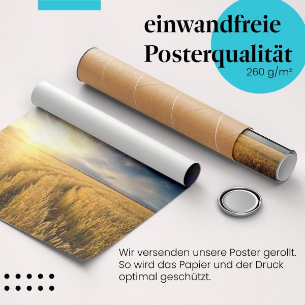 Gerolltes Poster "Weizenfeld" - Natur & Ernte, sicher verpackt.