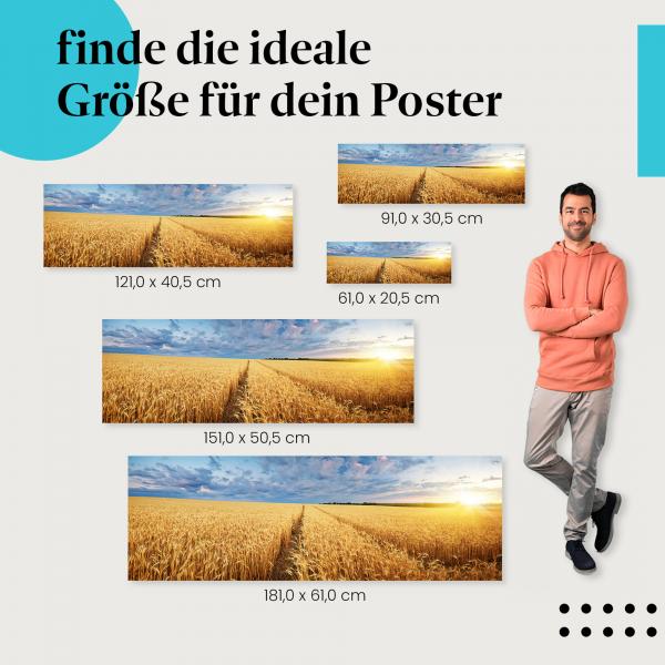 Weizenfeld, Poster: Golden, Sonnenuntergang, Traktor.