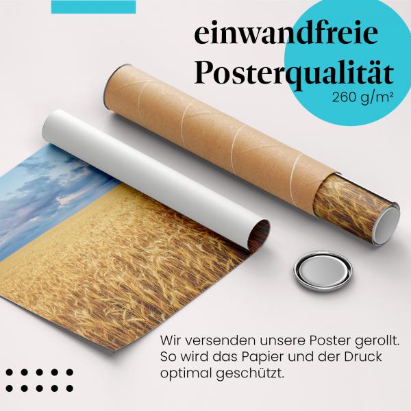 Gerolltes Poster "Weizenfeld" - Ernte & Landschaft, sicher verpackt.