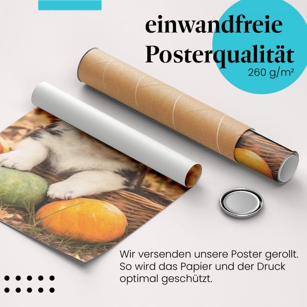 Gerolltes Poster "Welpe & Küken". Niedliches Tiermotiv, sicher verpackt.