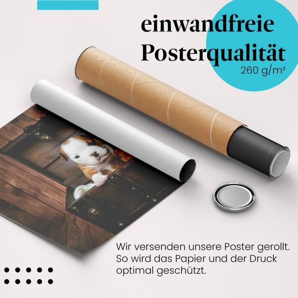 Gerolltes Poster "Verspielter Welpe". Tierische Freude, sicher verpackt.