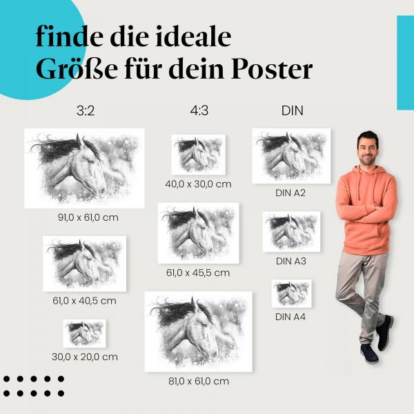 Pferd, Poster: Schwarz-weiß, Mähne, Zeichnung.