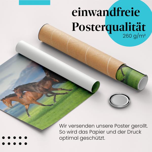 Gerolltes Poster "Wildpferde" - Kraft & Abenteuer, sicher verpackt.