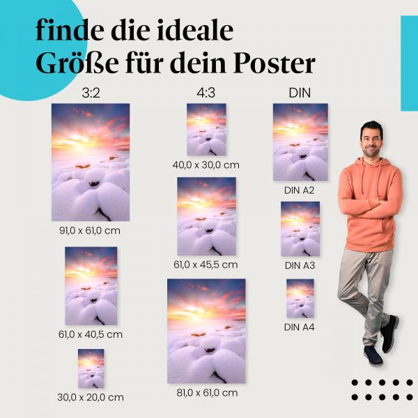 Winter, Poster: Schnee, Sonnenlicht, rosa Wolken.